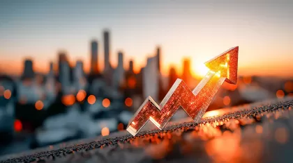 Patrimoine et Optimisation